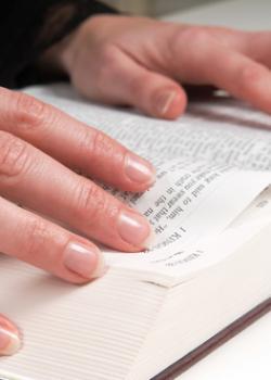 CONCUBINAGE ET SUCCESSION